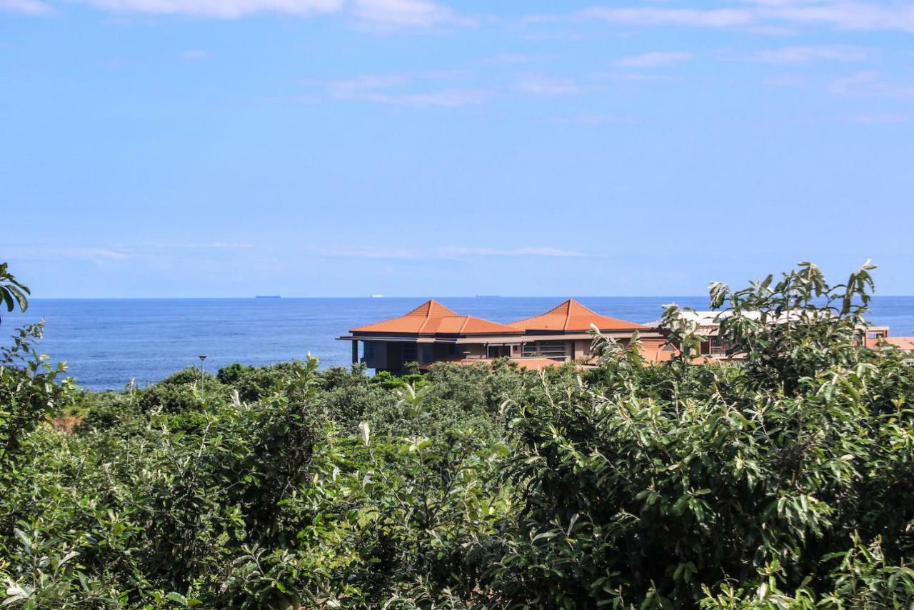 203 Zimbali *